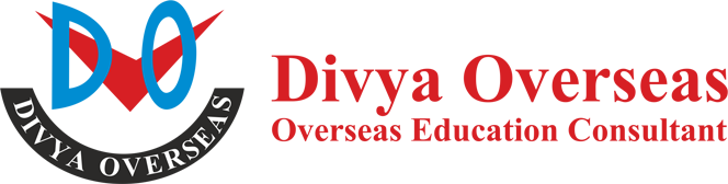 Divya Overseas